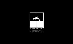WFM - The Dream
